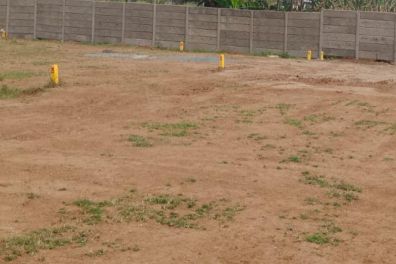  3 Acre Residential Plot for Sale in Thirukarungudi, Tirunelveli