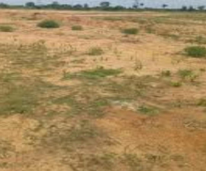  12 Acre Agricultural/Farm Land for Sale in Sivanthipuram, Tirunelveli