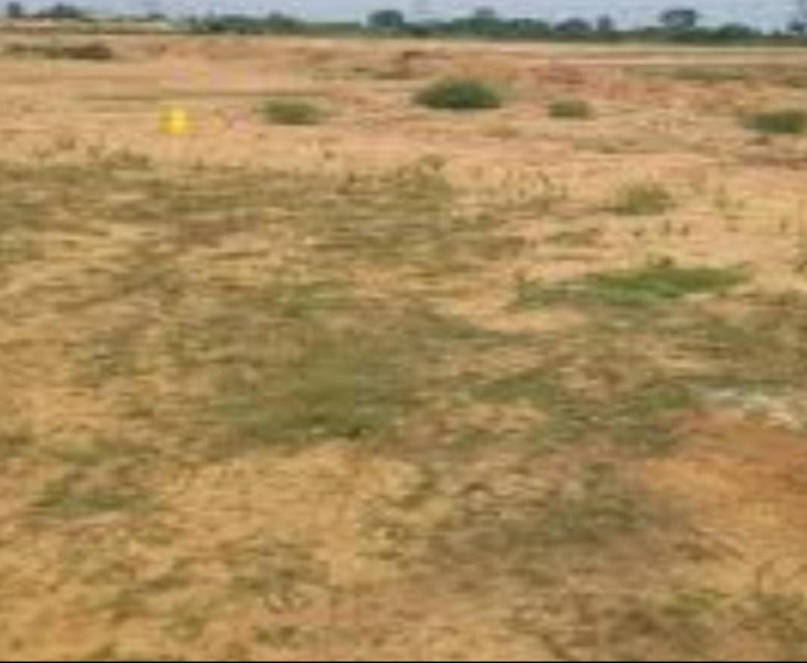  12 Acre Agricultural/Farm Land for Sale in Sivanthipuram, Tirunelveli