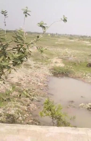  39 Acre Agricultural/Farm Land for Sale in Sivagiri, Tirunelveli