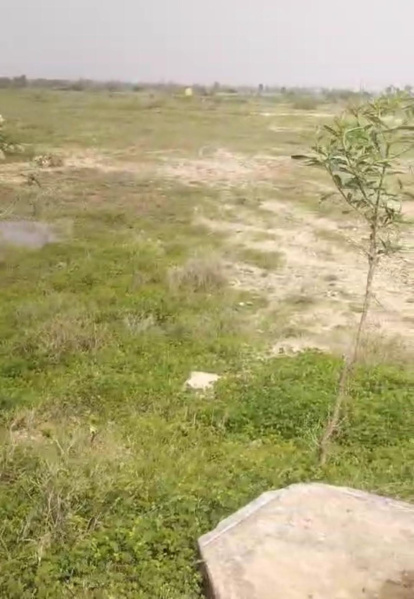  39 Acre Agricultural/Farm Land for Sale in Sivagiri, Tirunelveli