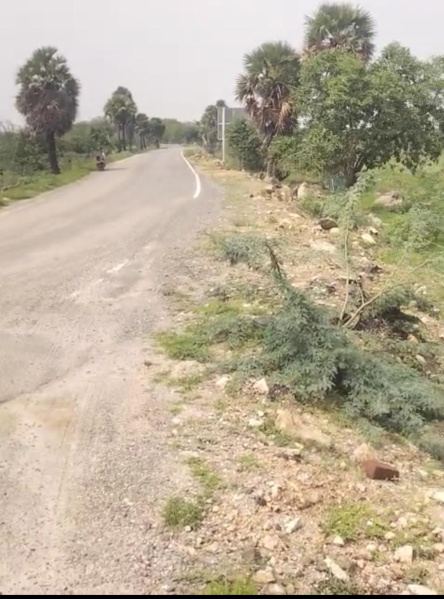  39 Acre Agricultural/Farm Land for Sale in Sivagiri, Tirunelveli