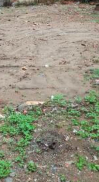  3366 Sq.ft. Residential Plot for Sale in Anna Nagar West, Chennai