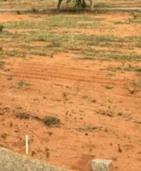  Agricultural Land for Sale in Manur, Tirunelveli