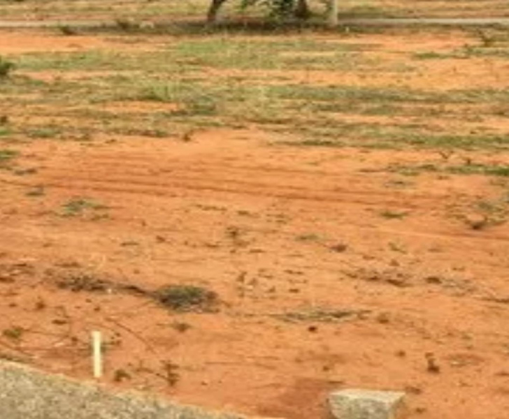  20 Acre Agricultural/Farm Land for Sale in Manur, Tirunelveli