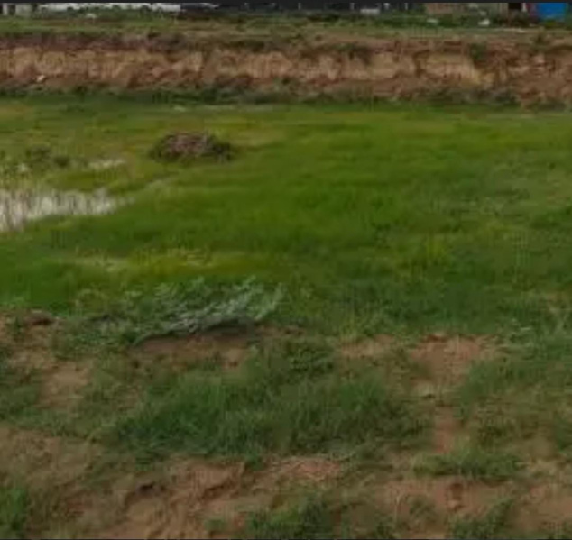  2 Acre Residential Plot for Sale in Thirukarungudi, Tirunelveli