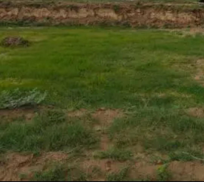  2 Acre Residential Plot for Sale in Thirukarungudi, Tirunelveli