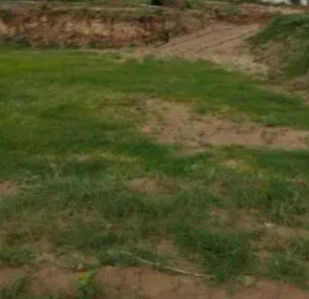  2 Acre Residential Plot for Sale in Thirukarungudi, Tirunelveli