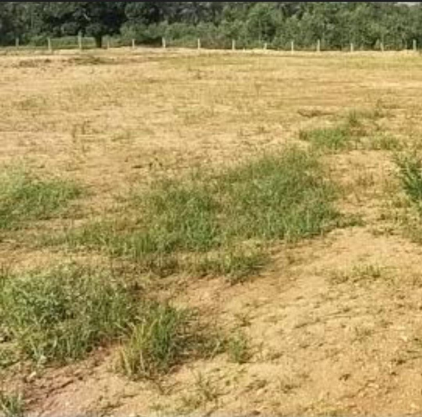  6 Acre Residential Plot for Sale in KTC Nagar, Tirunelveli