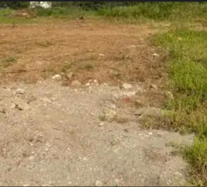  2 Acre Residential Plot for Sale in NGO Colony, Tirunelveli