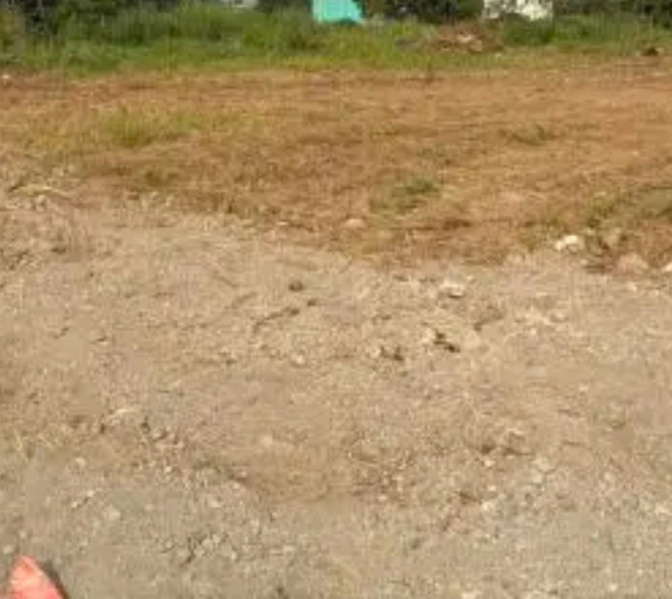  2 Acre Residential Plot for Sale in NGO Colony, Tirunelveli