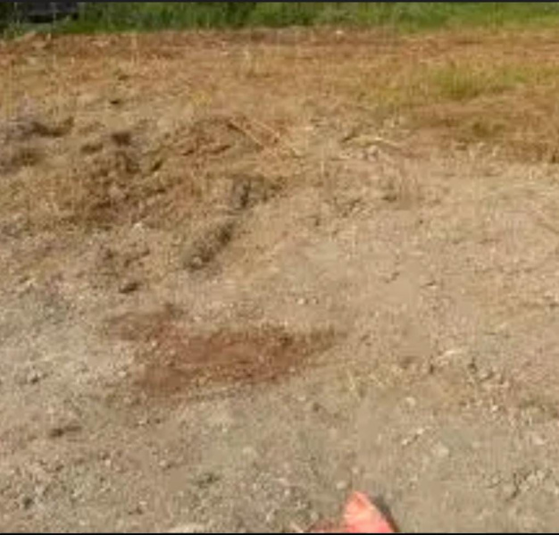  2 Acre Residential Plot for Sale in NGO Colony, Tirunelveli