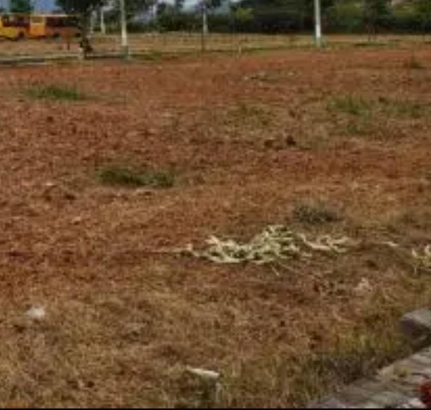  10 Cent Residential Plot for Sale in NGO Colony, Tirunelveli