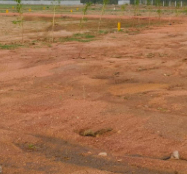  2 Acre Residential Plot for Sale in Krishnapuram, Tirunelveli
