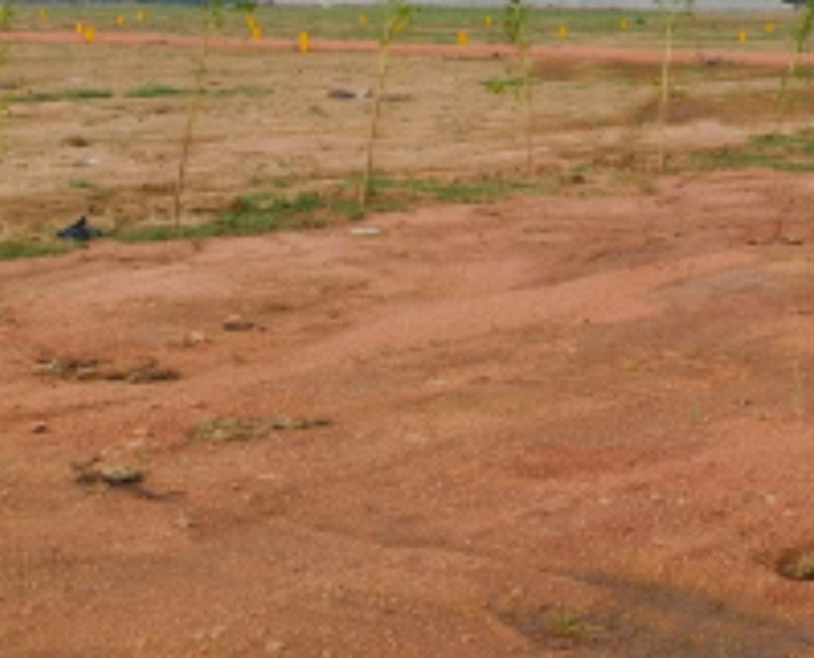  2 Acre Residential Plot for Sale in Krishnapuram, Tirunelveli