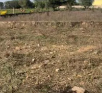  Residential Plot for Sale in Krishnapuram, Tirunelveli