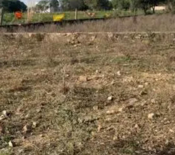  3 Acre Residential Plot for Sale in Krishnapuram, Tirunelveli