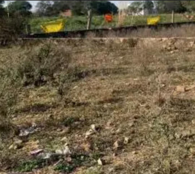  3 Acre Residential Plot for Sale in Krishnapuram, Tirunelveli