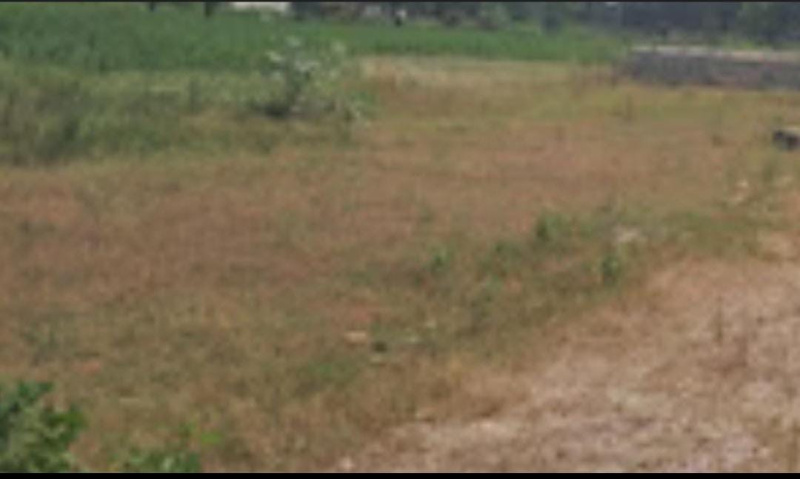  6000 Sq.ft. Commercial Land for Sale in Omr, Chennai