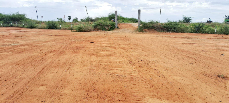  480 Acre Agricultural/Farm Land for Sale in Thathankulam, Thoothukudi
