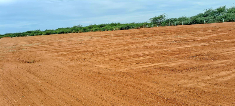  480 Acre Agricultural/Farm Land for Sale in Thathankulam, Thoothukudi