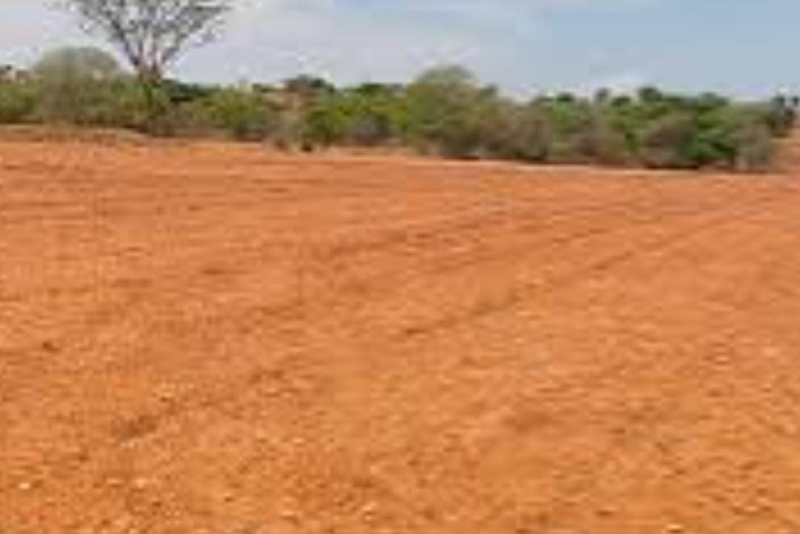  200 Acre Agricultural/Farm Land for Sale in Vagaikulam, Thoothukudi
