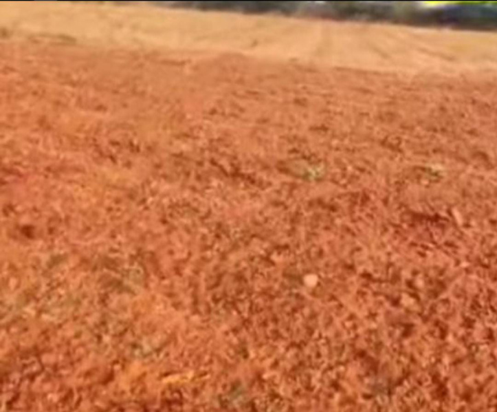  200 Acre Agricultural/Farm Land for Sale in Vagaikulam, Thoothukudi