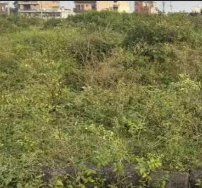  1245 Sq.ft. Residential Plot for Sale in Thoraipakkam, Chennai