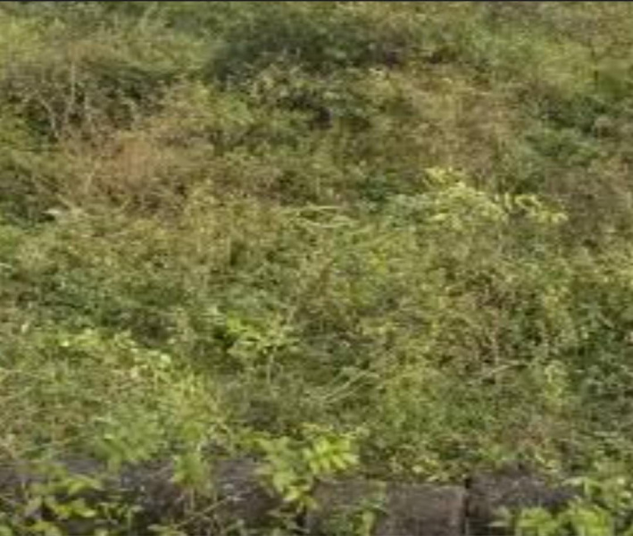  1245 Sq.ft. Residential Plot for Sale in Thoraipakkam, Chennai