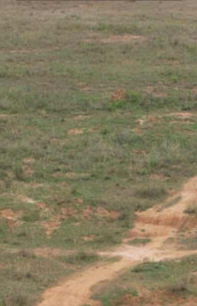  24 Acre Commercial Land for Sale in Achettipalli, Hosur