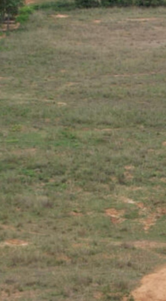  24 Acre Commercial Land for Sale in Achettipalli, Hosur