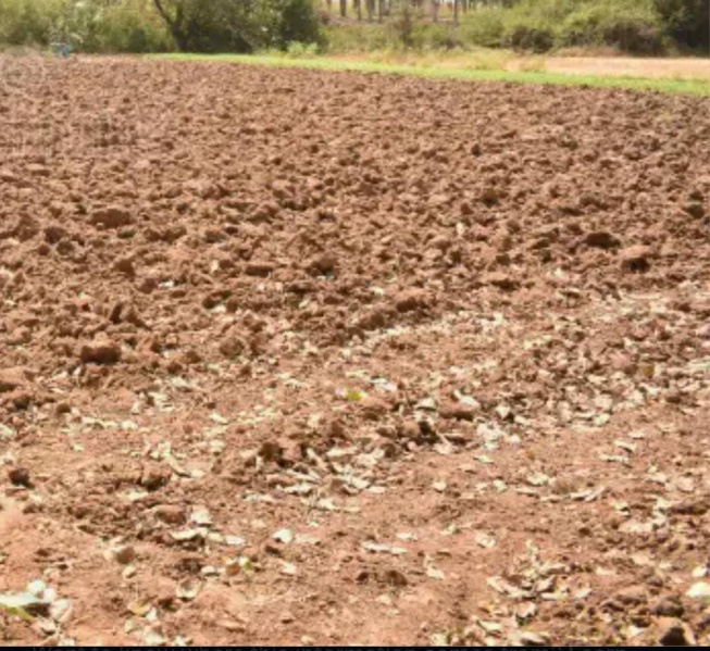  3 Acre Agricultural/Farm Land for Sale in Ayyankottai, Madurai