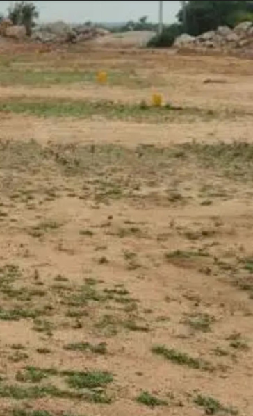  1556 Sq.ft. Residential Plot for Sale in Maraimalai Nagar, Chennai