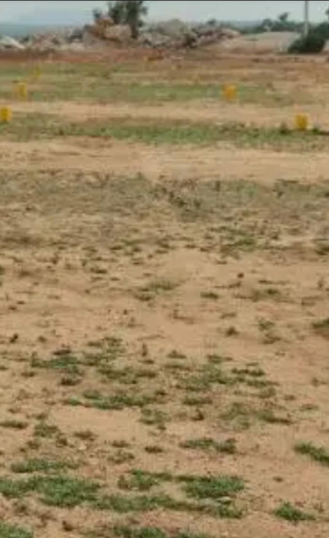  1556 Sq.ft. Residential Plot for Sale in Maraimalai Nagar, Chennai