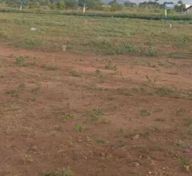 80 Acre Commercial Land for Sale in Panayur, Chennai