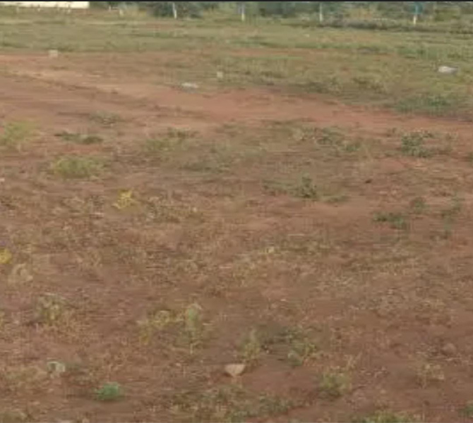  80 Acre Commercial Land for Sale in Panayur, Chennai