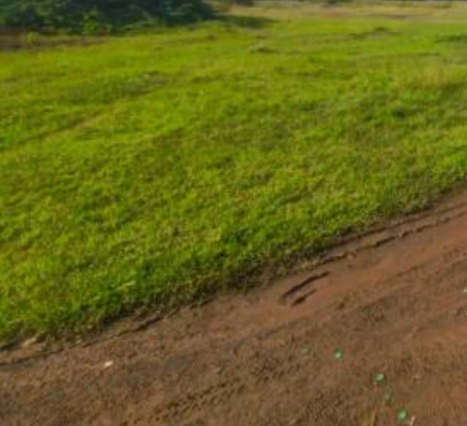  5 Acre Commercial Land for Sale in Kuthambakkam, Chennai