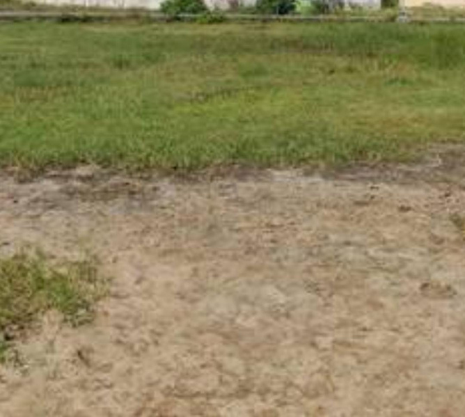  1470 Sq.ft. Residential Plot for Sale in Uthandi, Chennai