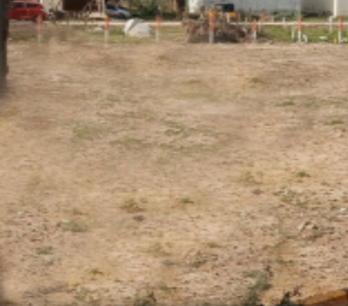  5905 Sq.ft. Commercial Land for Sale in Mylapore, Chennai