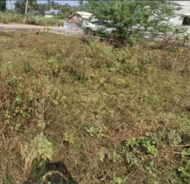  5905 Sq.ft. Residential Plot for Sale in Mylapore, Chennai