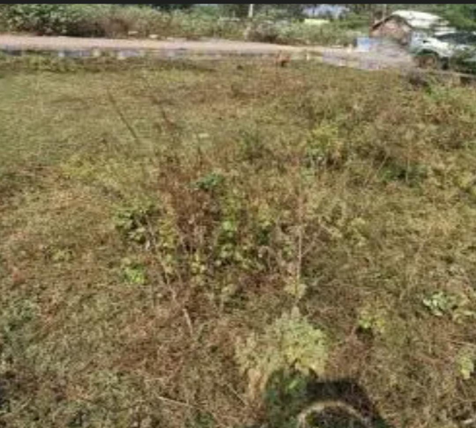  5905 Sq.ft. Residential Plot for Sale in Mylapore, Chennai