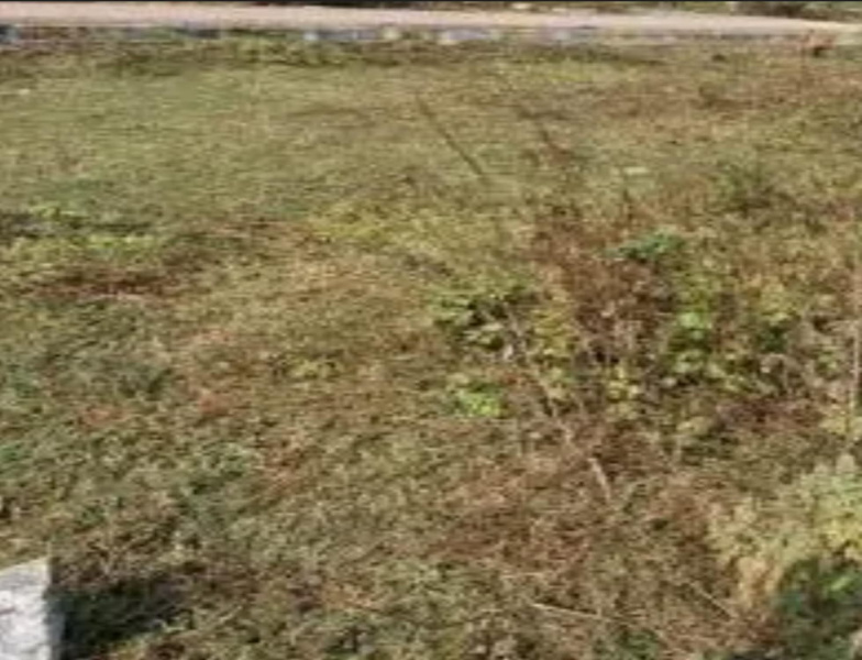  5905 Sq.ft. Residential Plot for Sale in Mylapore, Chennai