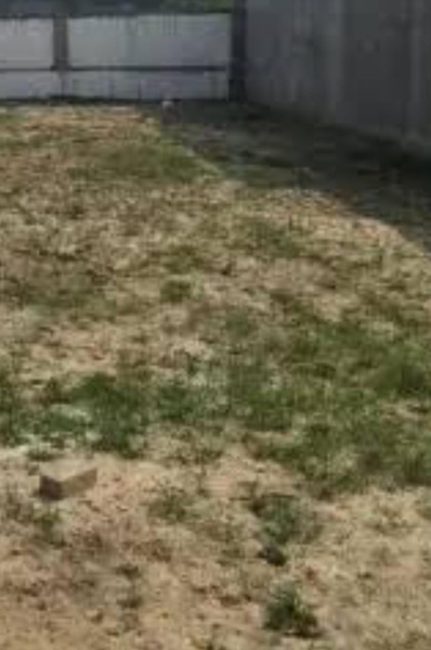  7920 Sq.ft. Commercial Land for Sale in Egmore, Chennai