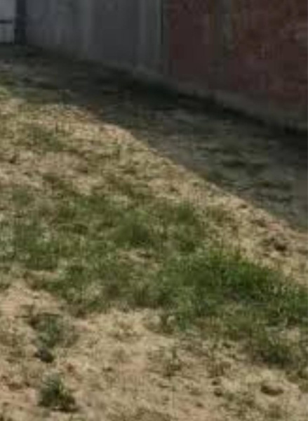  7920 Sq.ft. Commercial Land for Sale in Egmore, Chennai