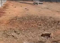  Commercial Land for Sale in Kelambakkam, Chennai