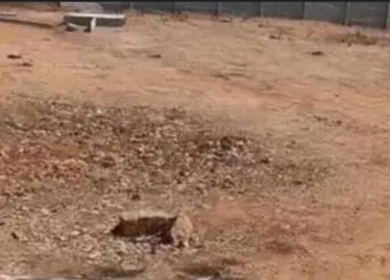  5 Acre Commercial Land for Sale in Kelambakkam, Chennai