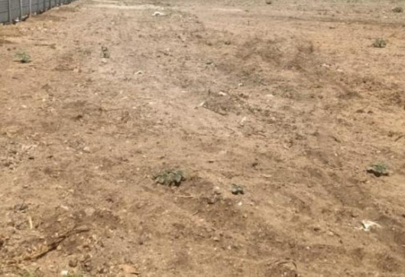  5000 Sq.ft. Commercial Land for Sale in Egmore, Chennai