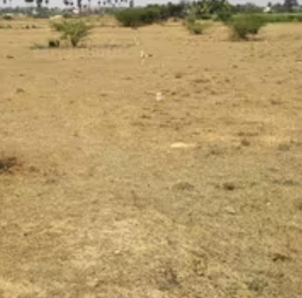  4800 Sq.ft. Residential Plot for Sale in Arakonam, Chennai