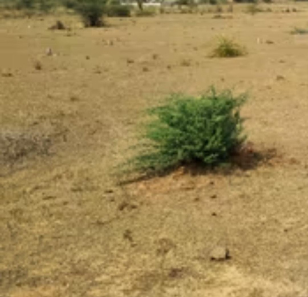  4800 Sq.ft. Residential Plot for Sale in Arakonam, Chennai