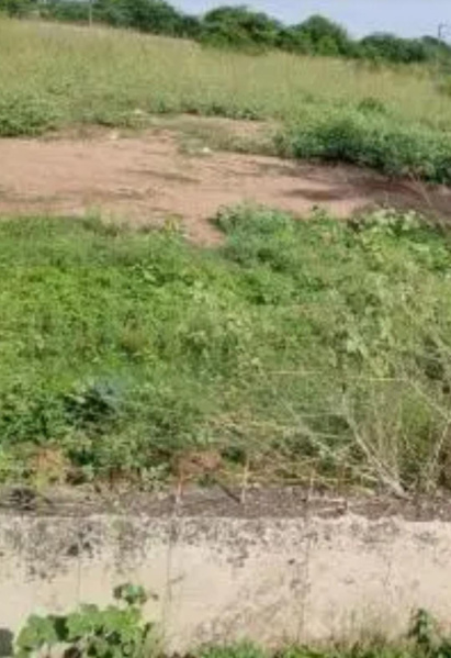  5 Acre Residential Plot for Sale in Avadi, Chennai
